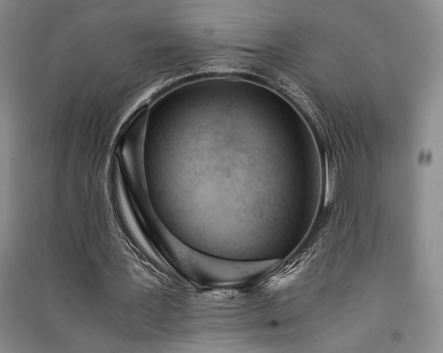 X0000091520387200708171221