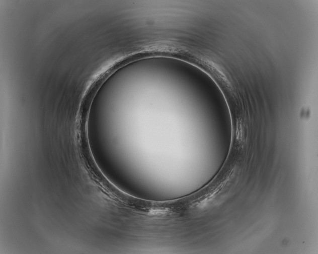 X0000091520388200708171221