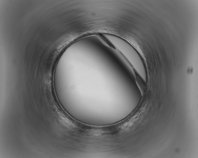 X0000091520389200708171221