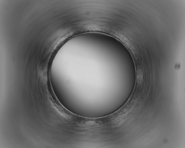 X0000091520390200708171221