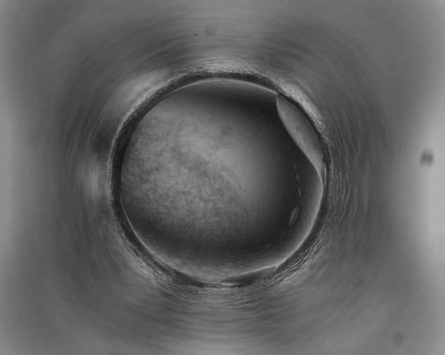 X0000091520391200708171221