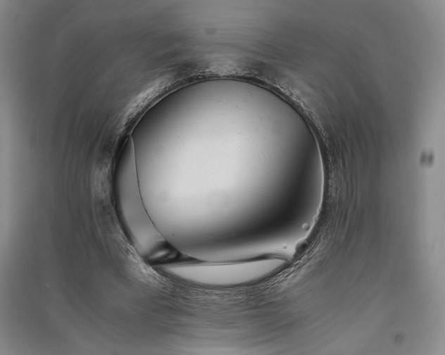 X0000091520393200708171220