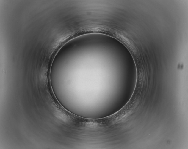 X0000091520394200708171220