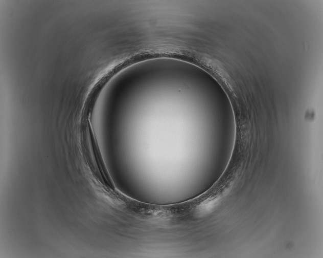 X0000091520395200708171220