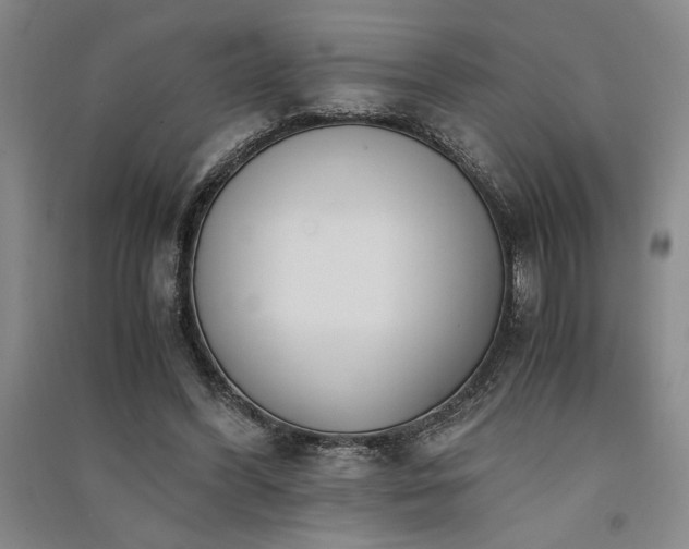 X0000091520396200708171220