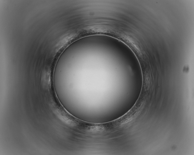 X0000091520398200708171220