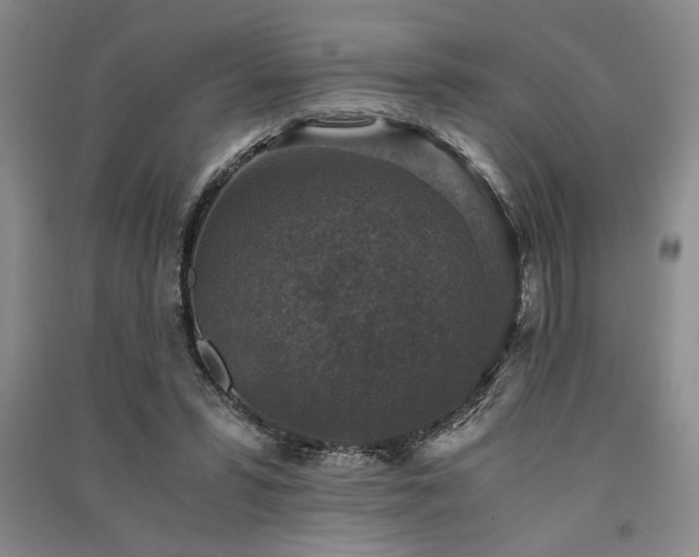 X0000091520399200708171220
