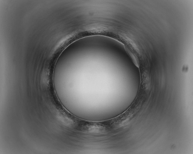 X0000091520400200708171220