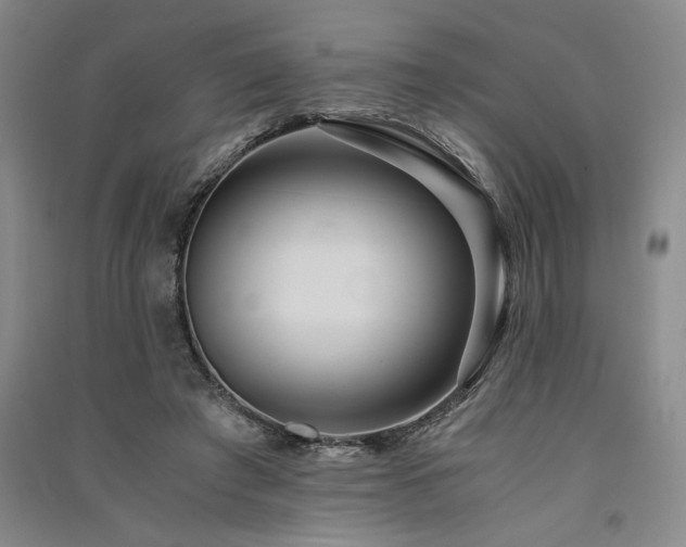 X0000091520401200708171220