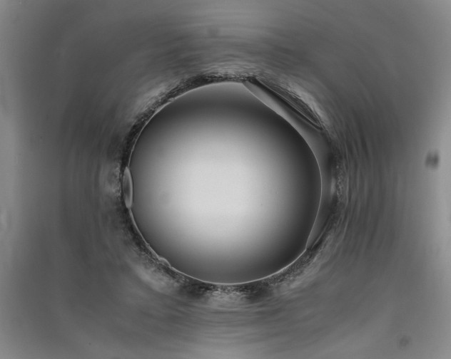 X0000091520403200708171220