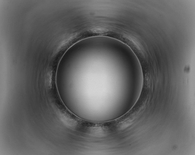 X0000091520404200708171220