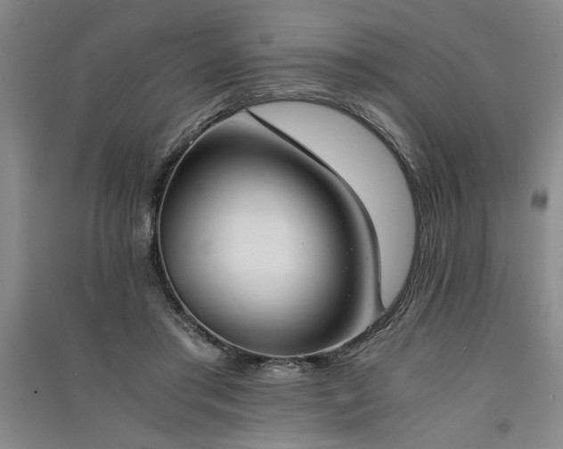 X0000091520405200708171220