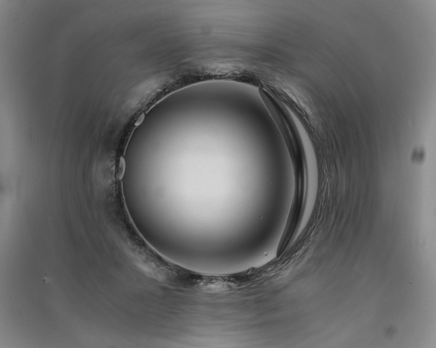 X0000091520407200708171220