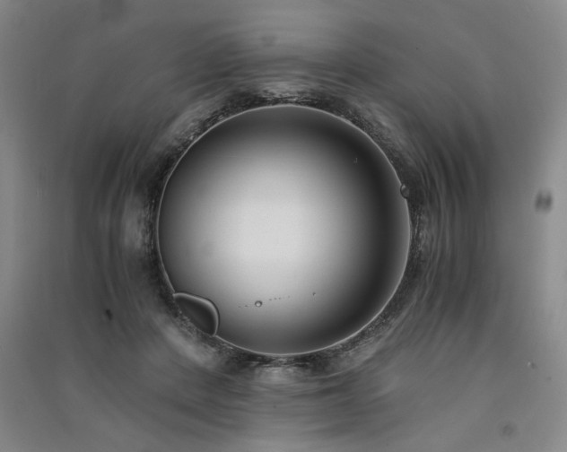 X0000091520408200708171220
