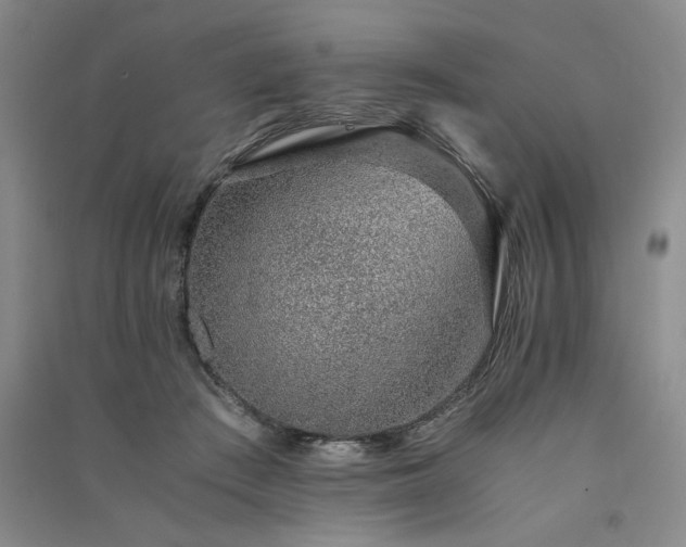 X0000091520409200708171220