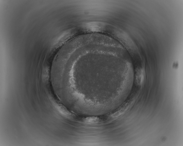 X0000091520410200708171220