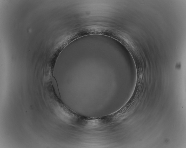 X0000091520411200708171220