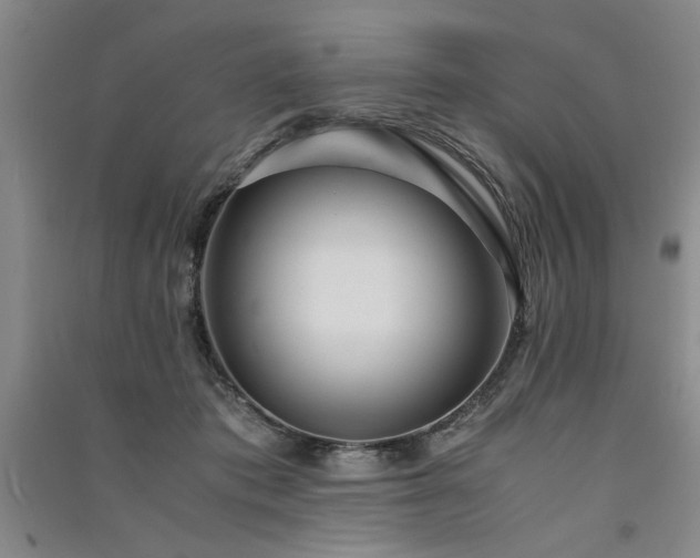 X0000091520413200708171220