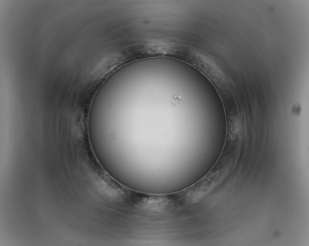 X0000091520414200708171220
