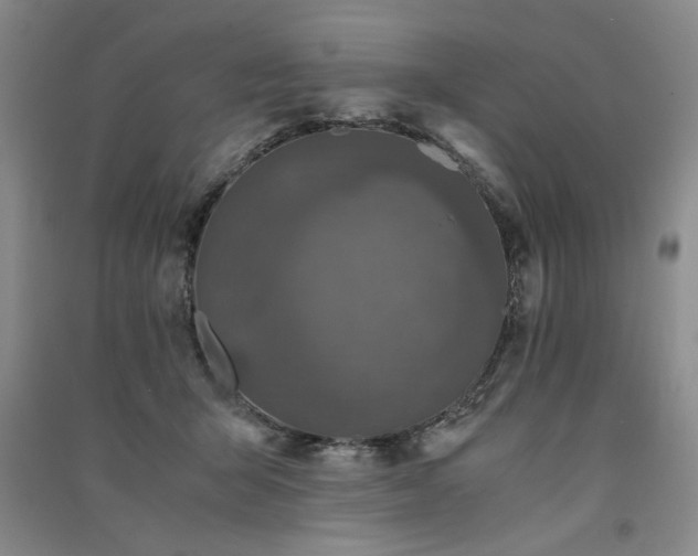 X0000091520415200708171220