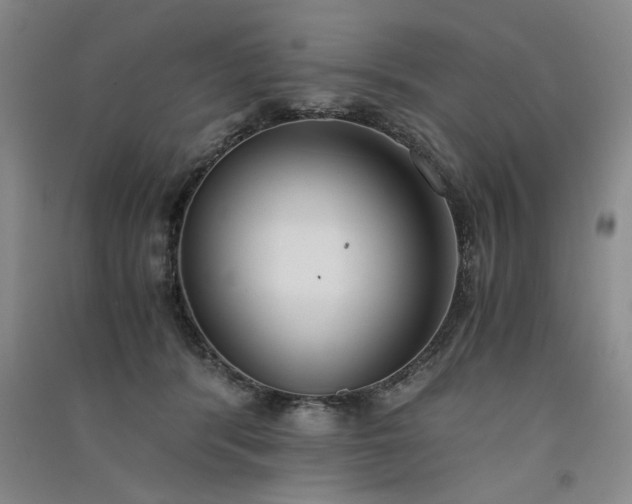 X0000091520416200708171220