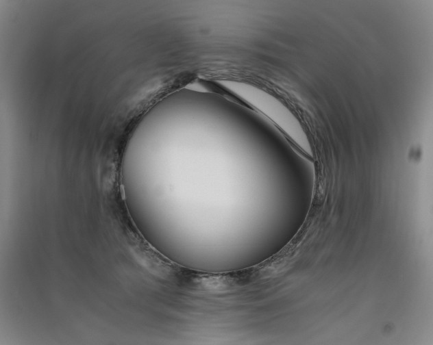 X0000091520417200708171220