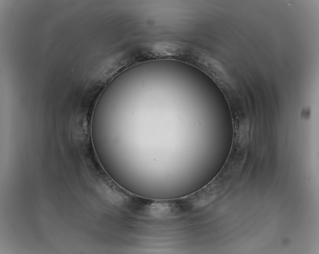 X0000091520418200708171220
