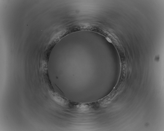 X0000091520419200708171220