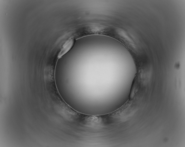 X0000091520421200708171220