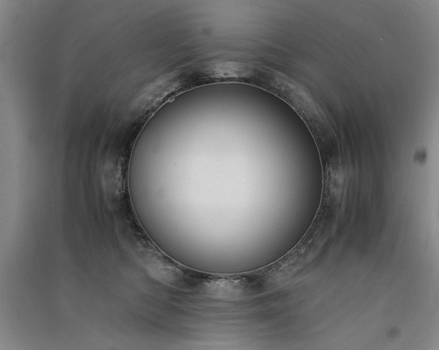 X0000091520422200708171220