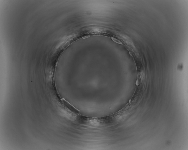 X0000091520423200708171220