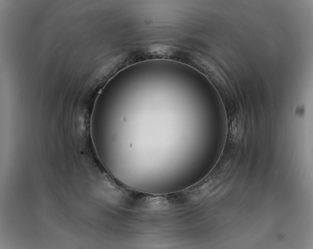 X0000091520424200708171220