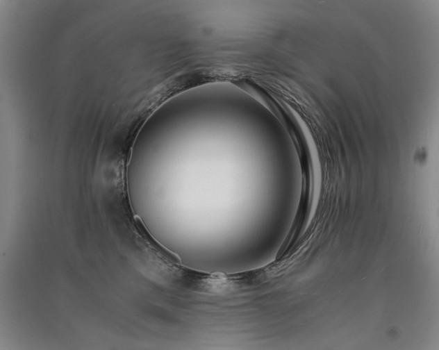 X0000091520425200708171220