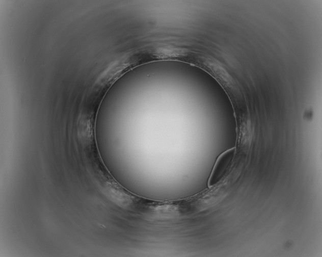X0000091520426200708171220