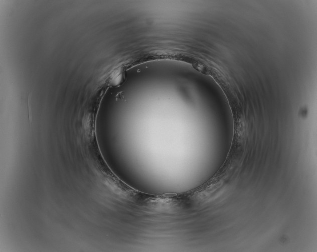 X0000091520428200708171220