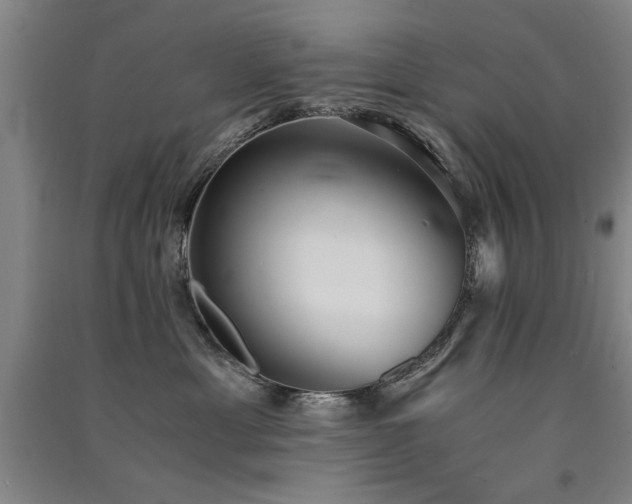 X0000091520429200708171220
