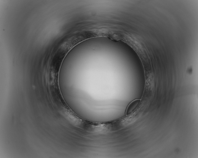X0000091520430200708171220