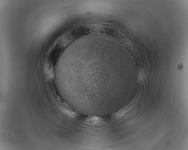 X0000091520431200708171220