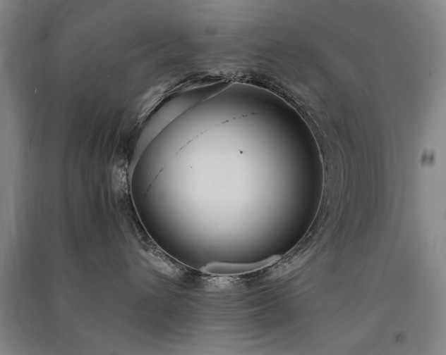 X0000091520432200708171220