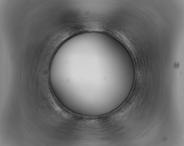 X0000091520433200708171219