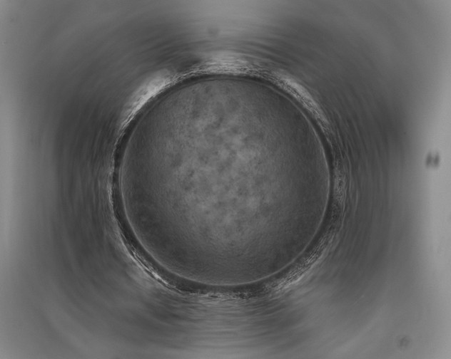 X0000091520434200708171219
