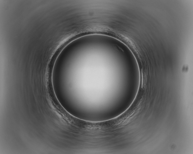 X0000091520435200708171219