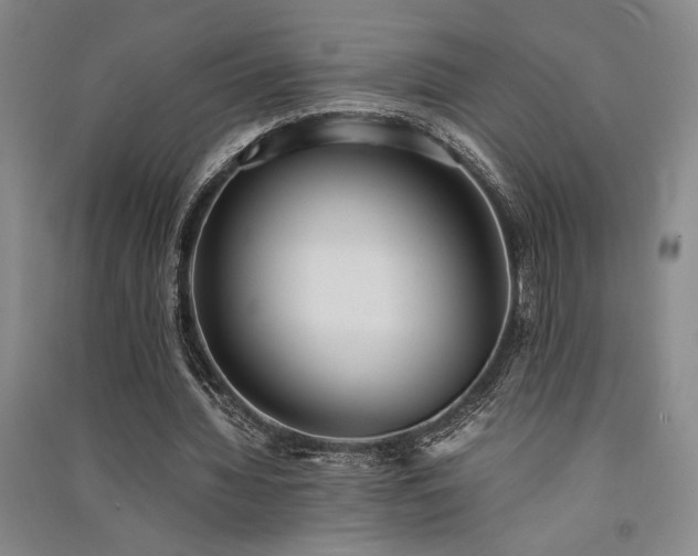 X0000091520436200708171219