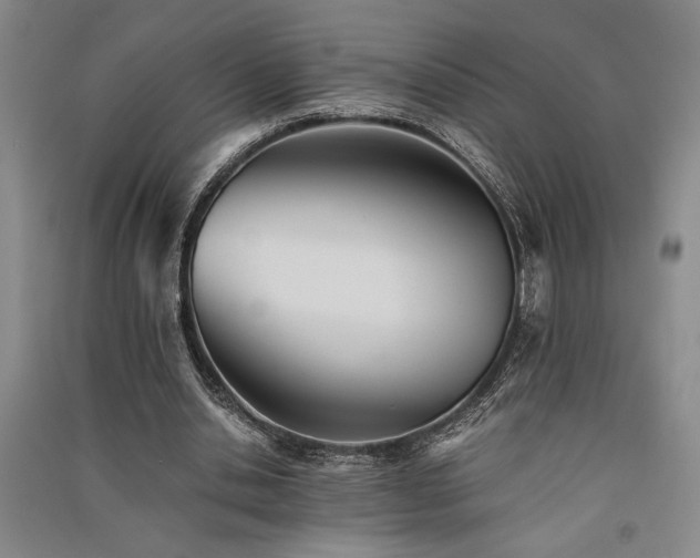 X0000091520438200708171219
