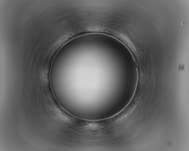 X0000091520441200708171220