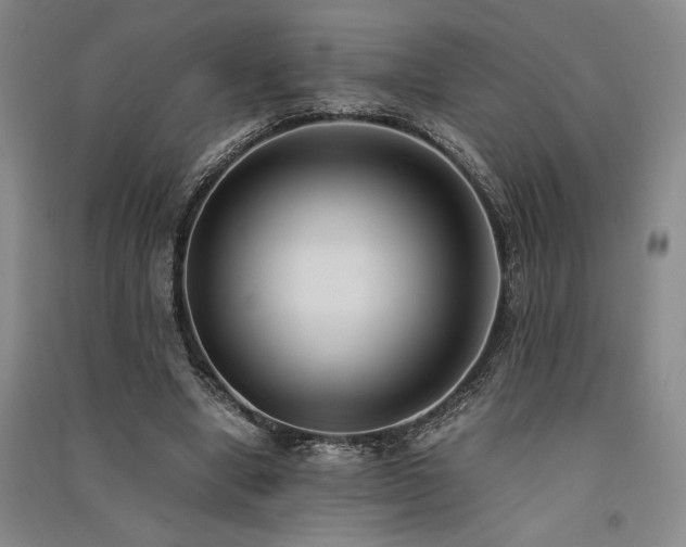 X0000091520442200708171220
