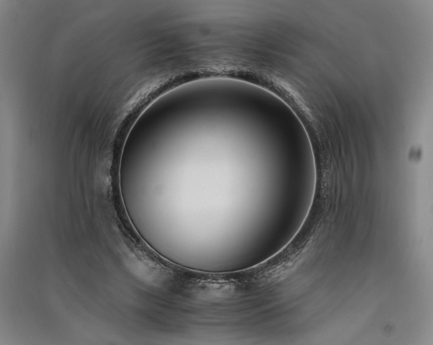 X0000091520443200708171220