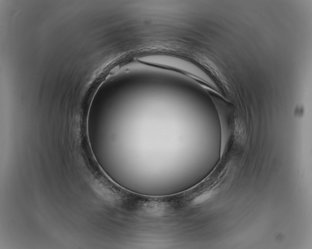 X0000091520444200708171220