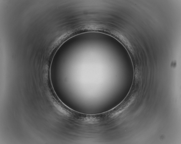 X0000091520445200708171220