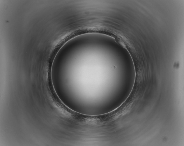 X0000091520446200708171220